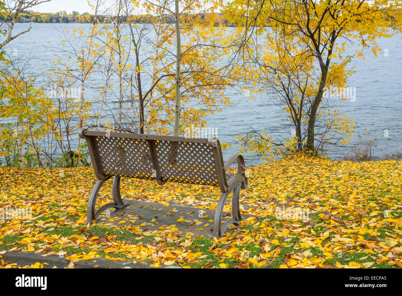 Bench, Bell Park, Ramsey Lake, Sudbury, Ontario, Canada Stock Photo