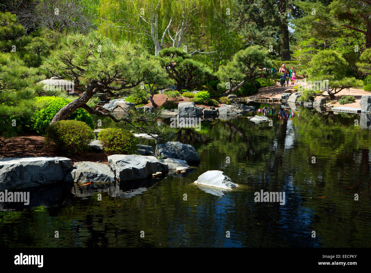 Japanese Garden, Denver Botanic Garden,  Denver, Colorado Stock Photo