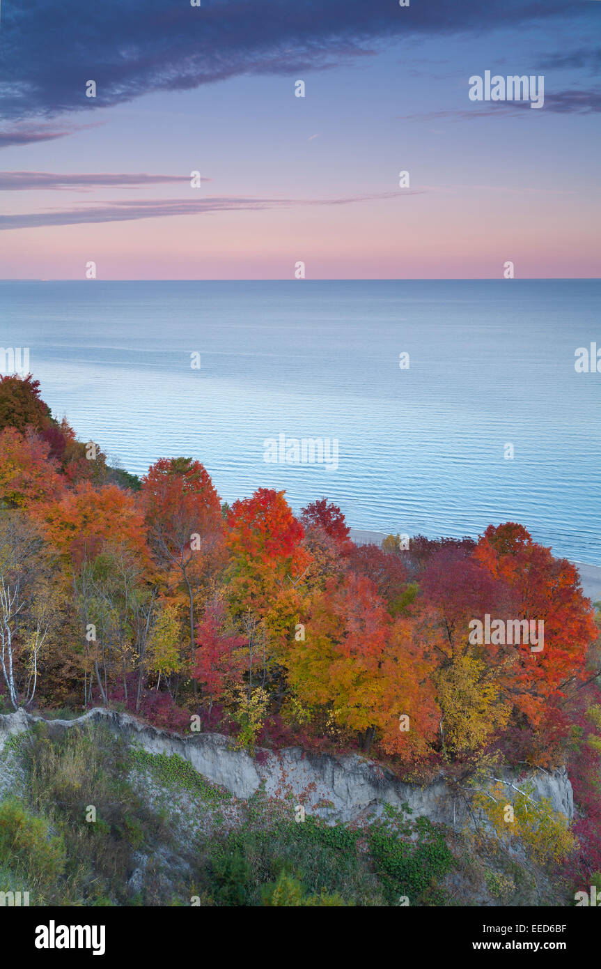 Trees along the shore of Lake Ontario, taken from atop the Scarborough Bluffs. Scarborough, Ontario, Canada. Stock Photo