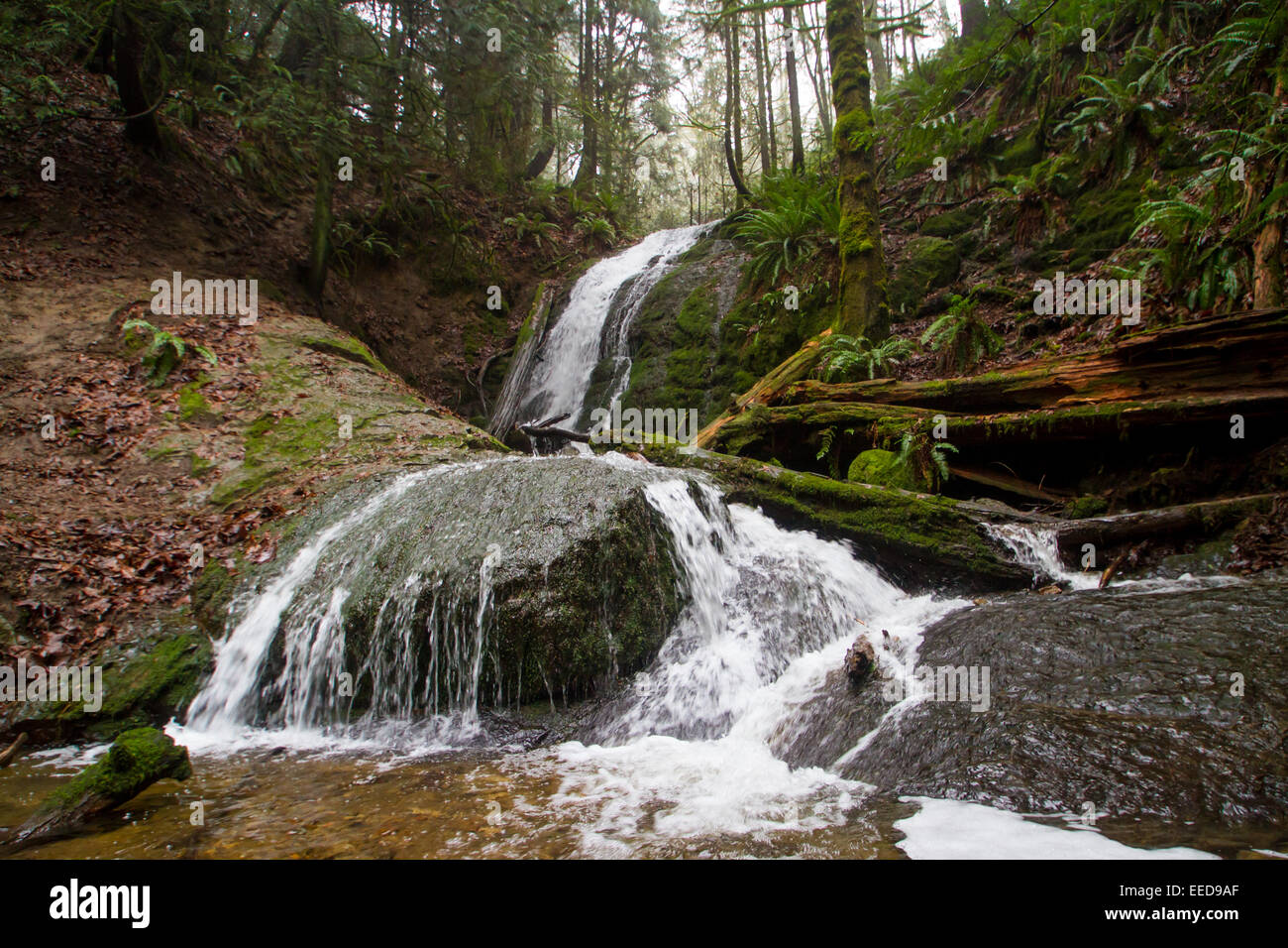 Coal Creek Falls, in Cougar Mountain Regional Wildland Park, near