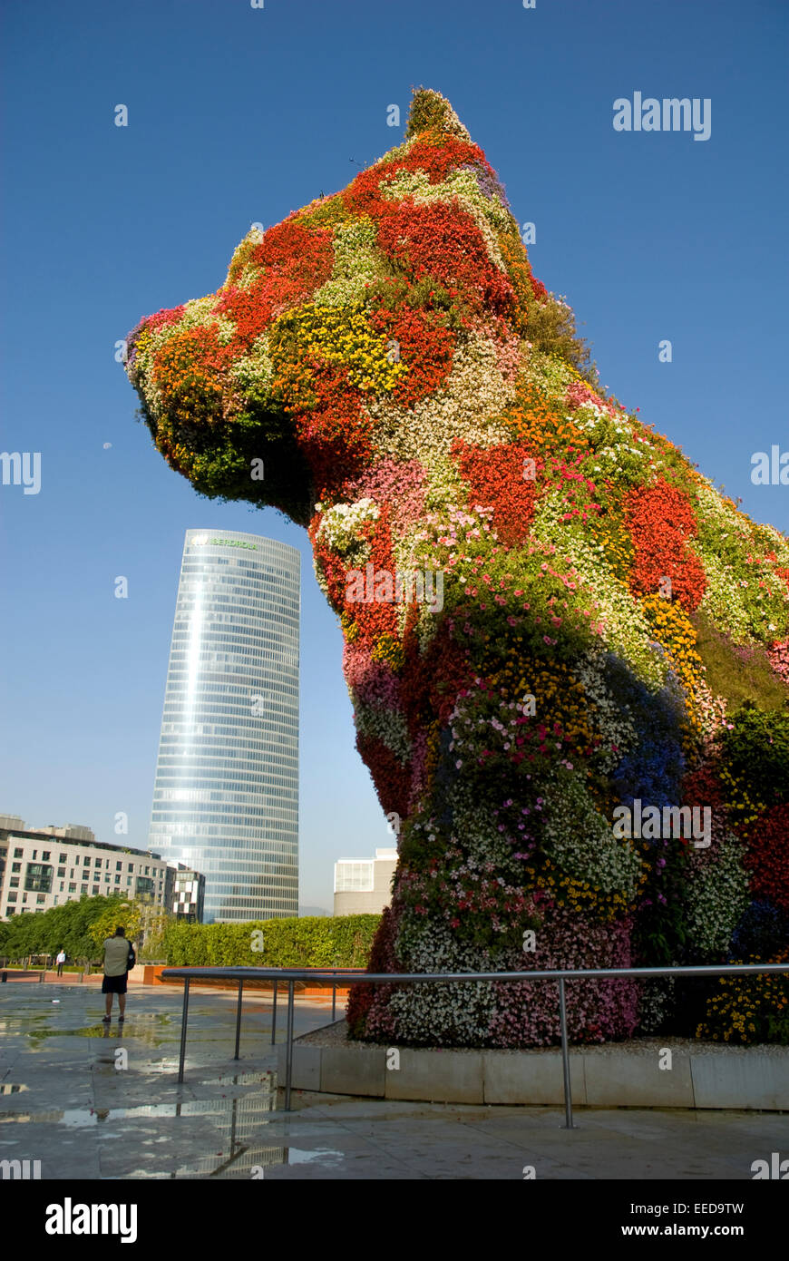 A Dog Made Of Flowers Plants At The Guggenheim Museum Bilbao A Museum Of Modern And Contemporary Art Spain Stock Photo Alamy