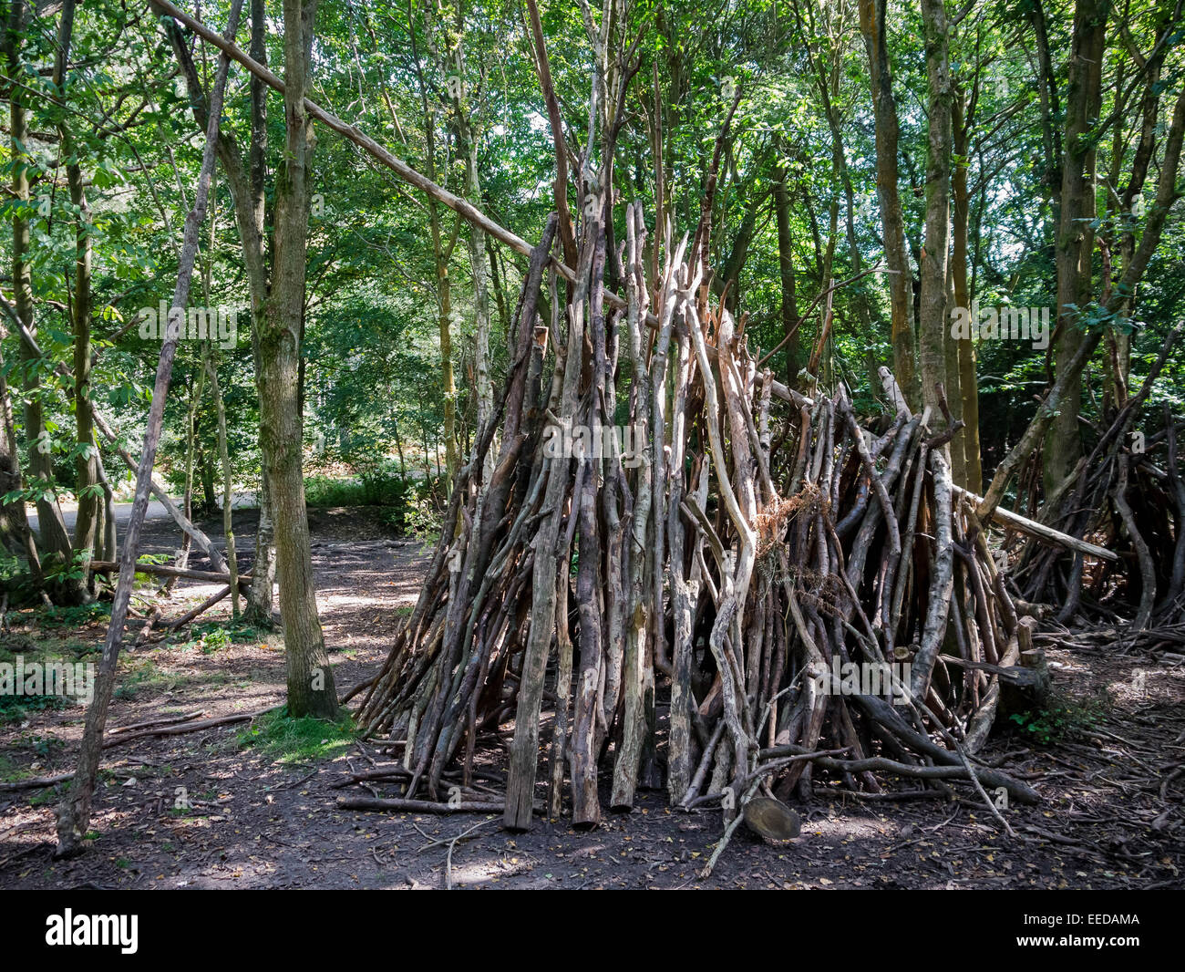 A Debris hut built for shelter in the wilderness Stock Photo