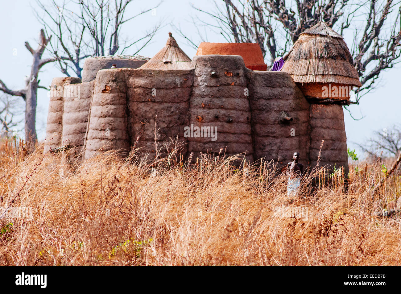 Tata somba. Tamberma Valley, Togo Stock Photo Alamy
