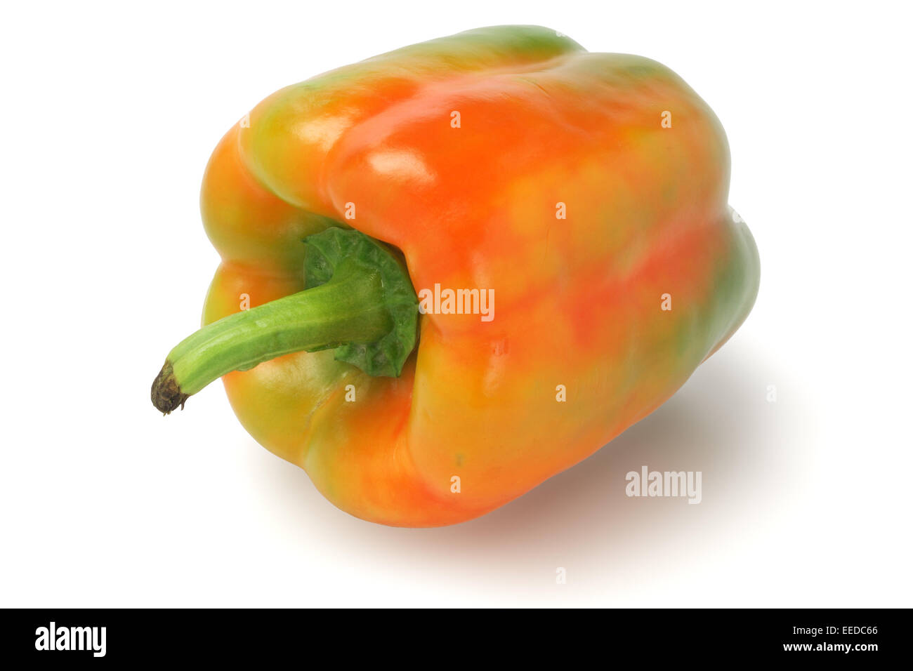 Fresh Pepper Lying On White Background Stock Photo