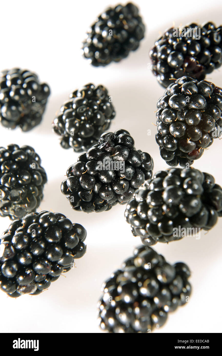 Brombeeren Rosengewaechse Rubus Strauchfrucht Beeren