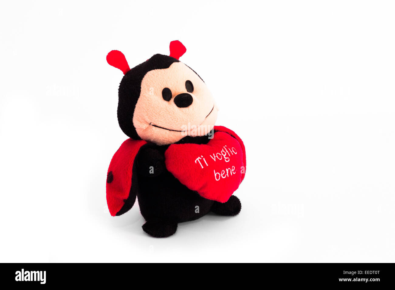 ladybug and his message of love in a heart Stock Photo