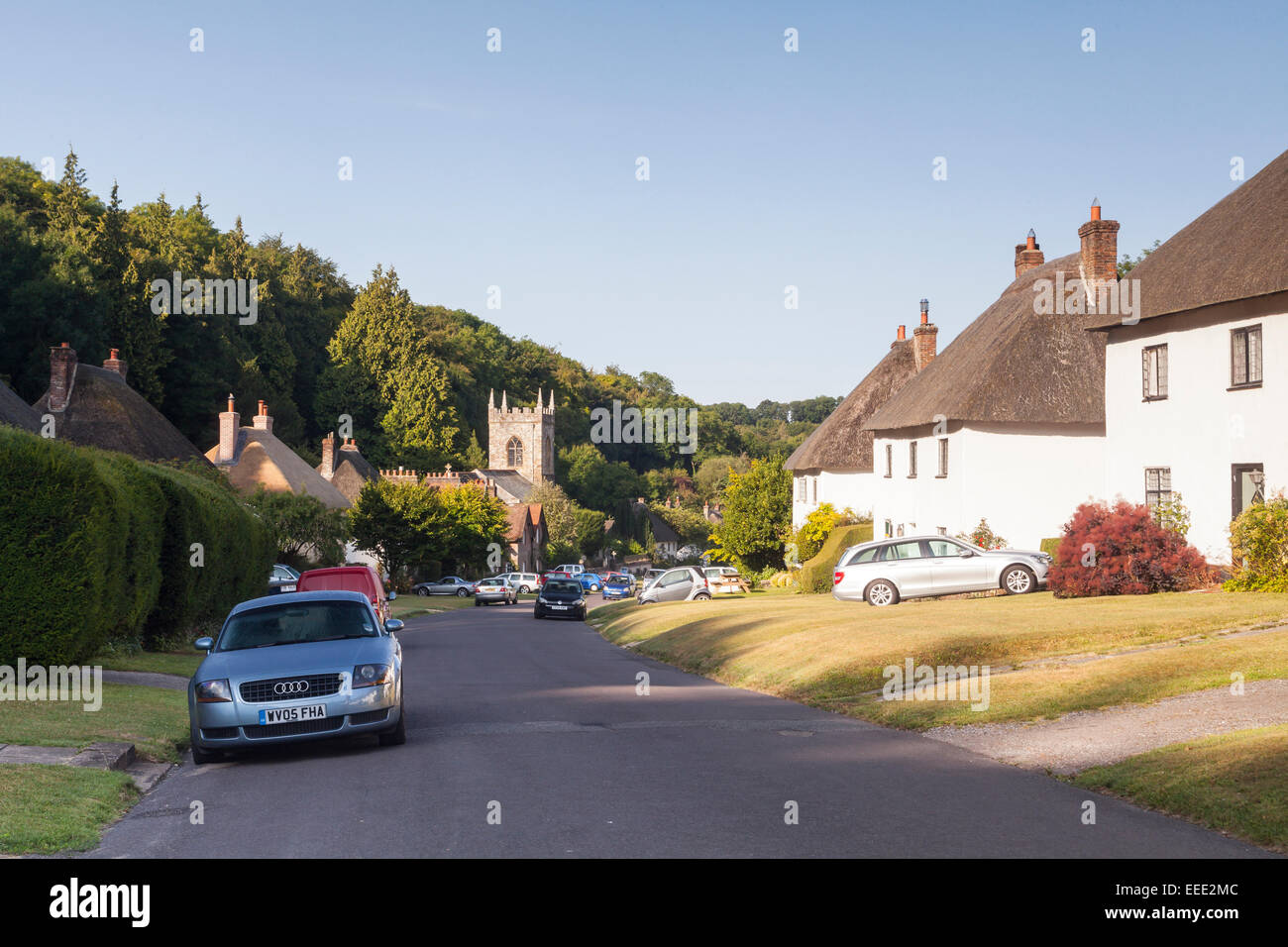 Thatched cottages in Milton Abbas. There are 36 such cottages in the