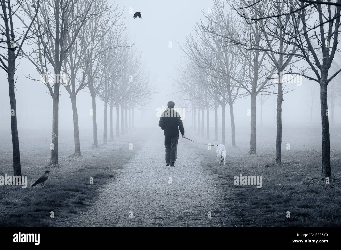 A young man is walking with the dog in the park during a winter foggy day Stock Photo