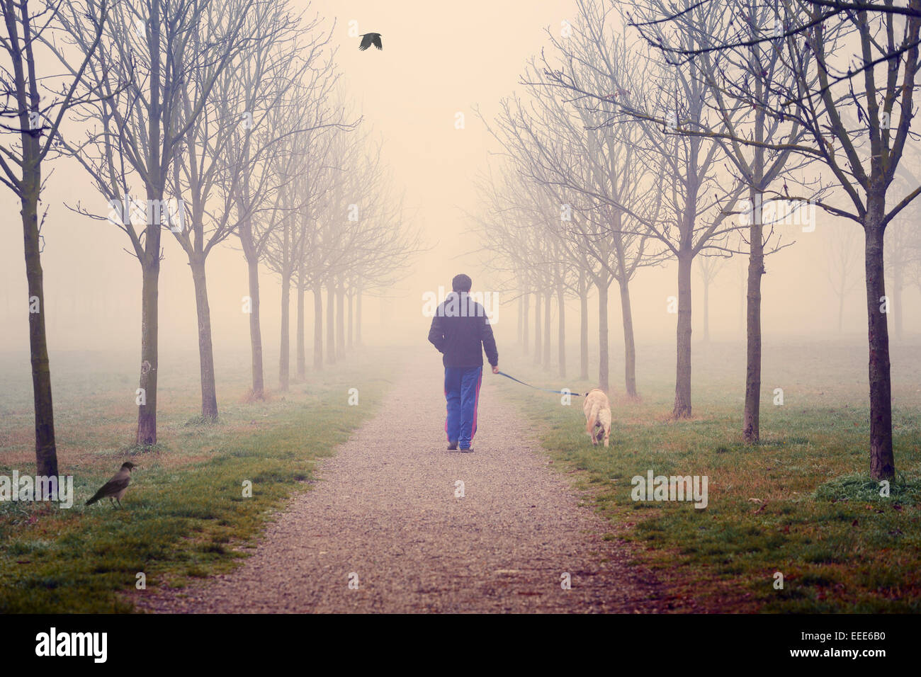 A young man is walking with the dog in the park during a winter foggy day Stock Photo