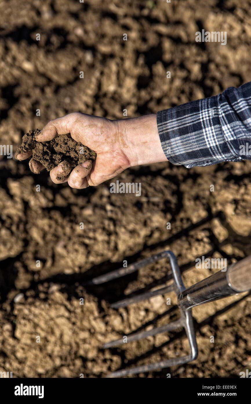 Close up from a Farmer Hand with Soil and a pitchfork Stock Photo