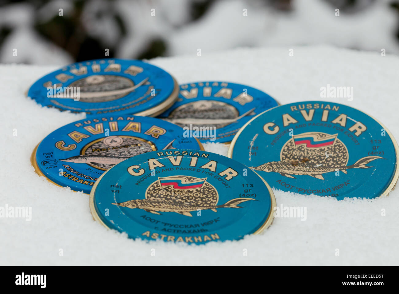 cans of russian caviar decorated in the snow. Photo: December 29, 2014. Stock Photo