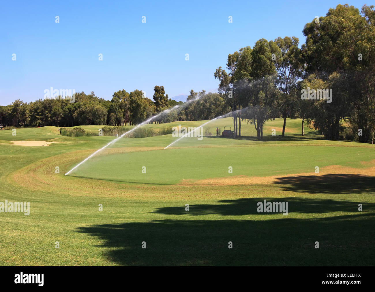 Watering golf courses Stock Photo Alamy
