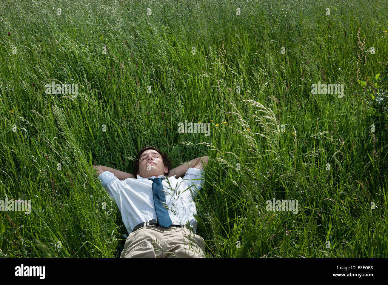 Freiburg im Breisgau, Germany, young man lying on a meadow Stock Photo