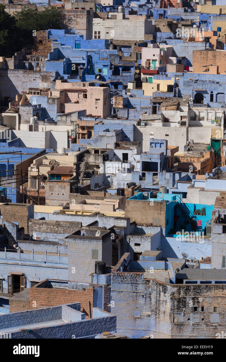 India, Rajasthan, Jodhpur, blue painted houses in the old city Stock Photo