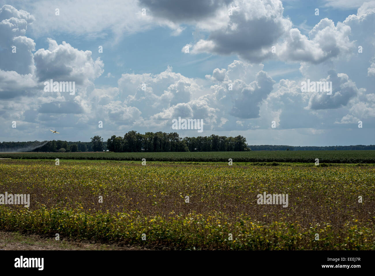 Crop Spraying ,agro business,Mississippi Delta Stock Photo - Alamy