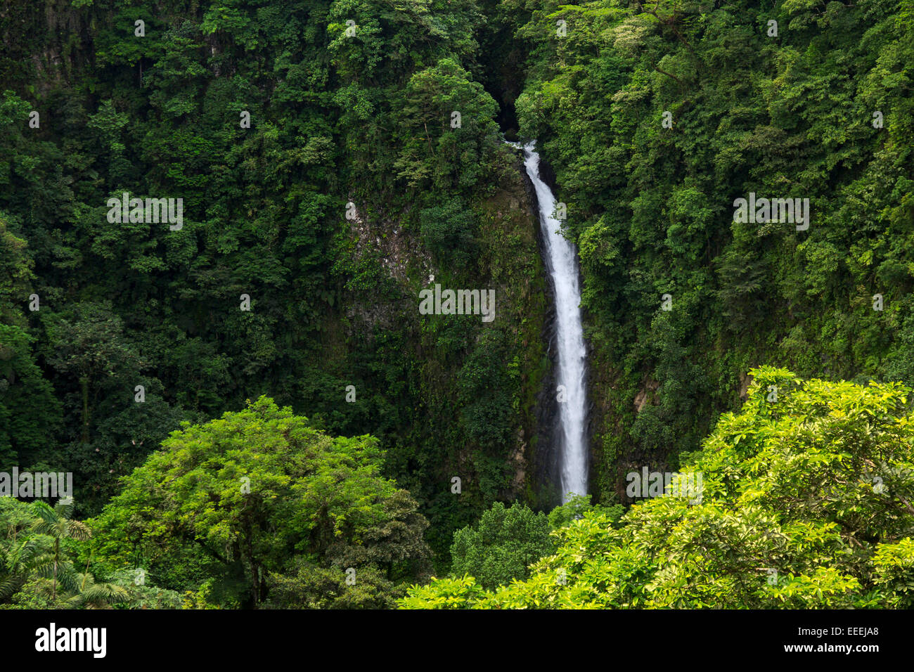 Beautiful waterfall from the middle of the lush green Costa Rican rain-forest. Stock Photo