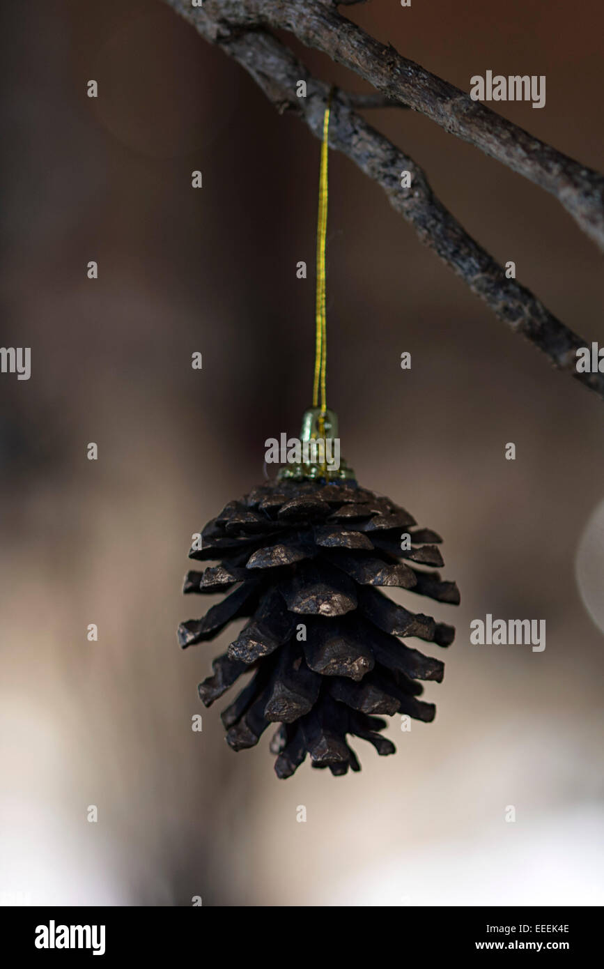 Ornament on Christmas Tree at Le Domaine de L'Orangeraie Resort in La Digue, Seychelles Stock Photo