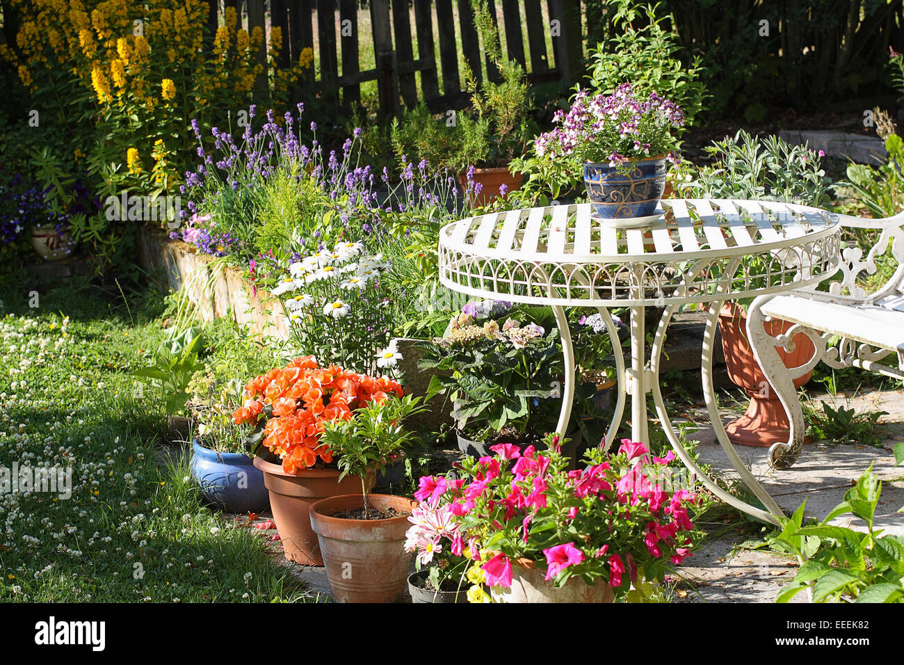 Beautiful summer garden with blooming flowers Stock Photo