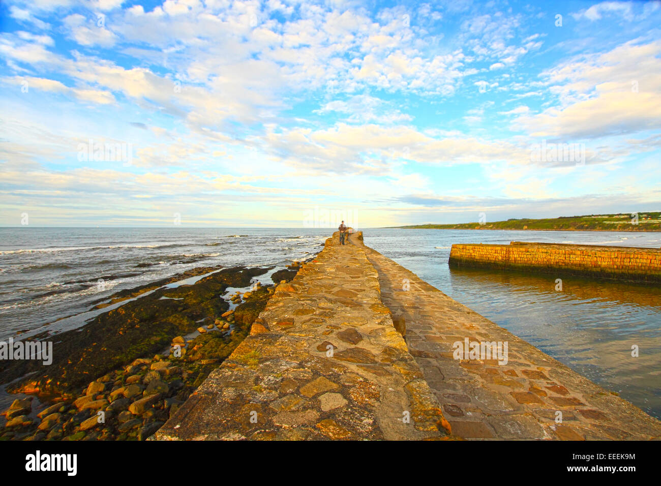 Old Pier in St Andrews, Scotland Stock Photo Alamy