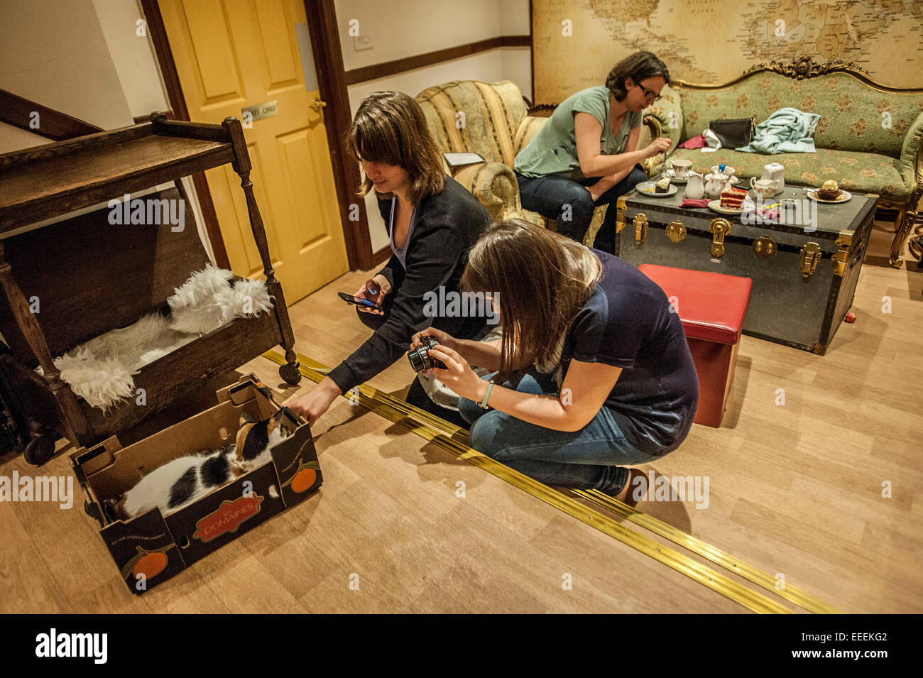 Lady Dinahs Cat Emporium in London's trendy east end Stock Photo Alamy