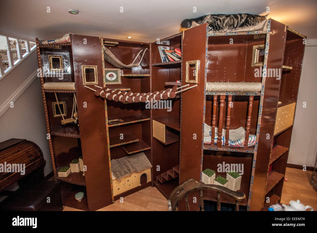 Lady Dinahs Cat Emporium in London's trendy east end Stock Photo Alamy