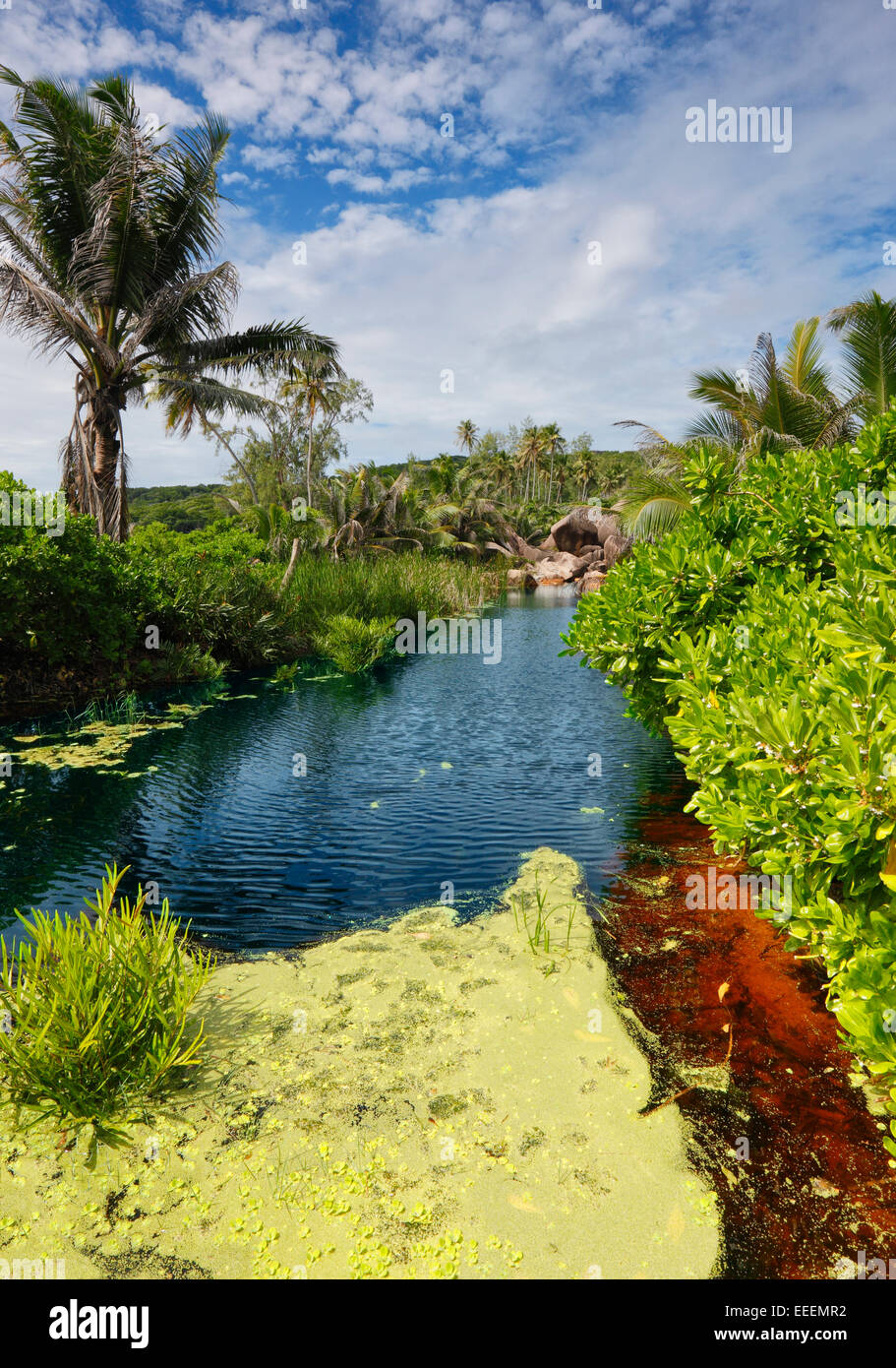 Seychelles island, La Digue Stock Photo