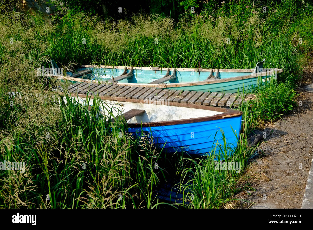 Two rowing lake boats tied up among reeds on a Lough Derg In Tipperary Ireland Stock Photo