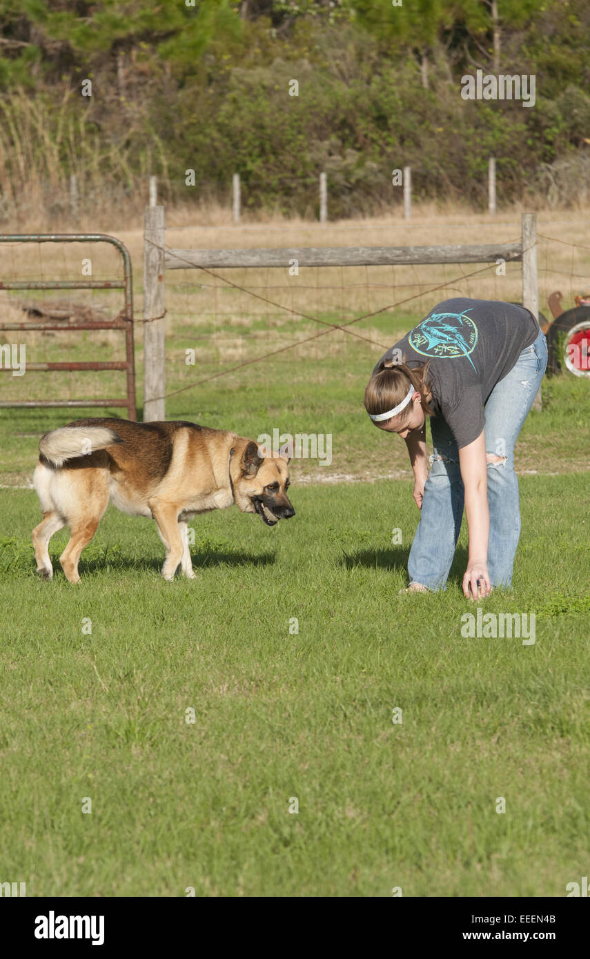 young woman playing fetch with her german shepherd Stock Photo Alamy