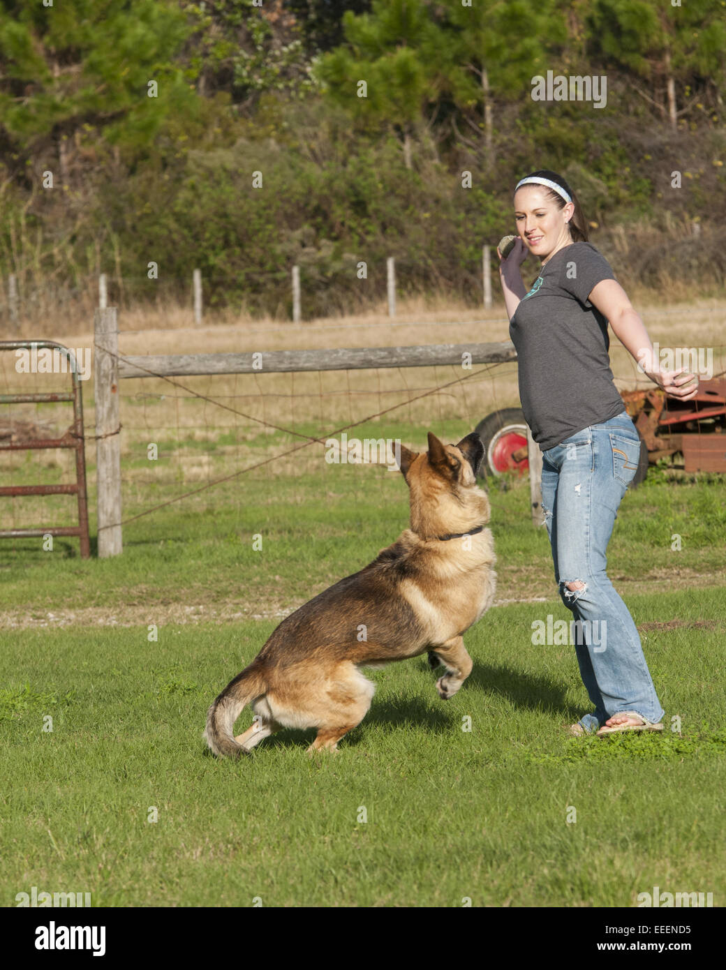 Young woman playing fetch with her german shepherd Stock Photo Alamy