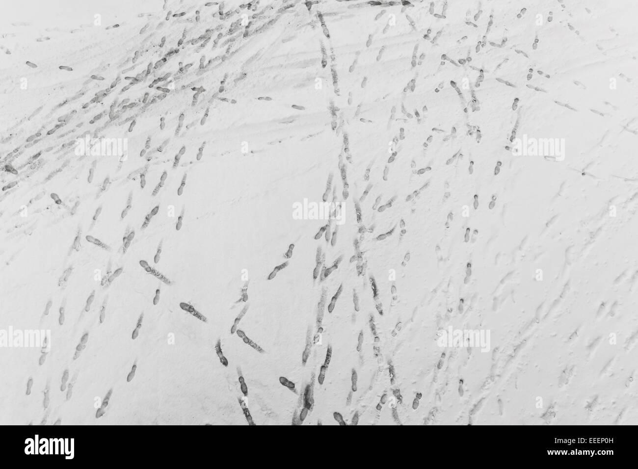 Birds Eye View Of Footsteps In A Fresh Snow Stock Photo Alamy