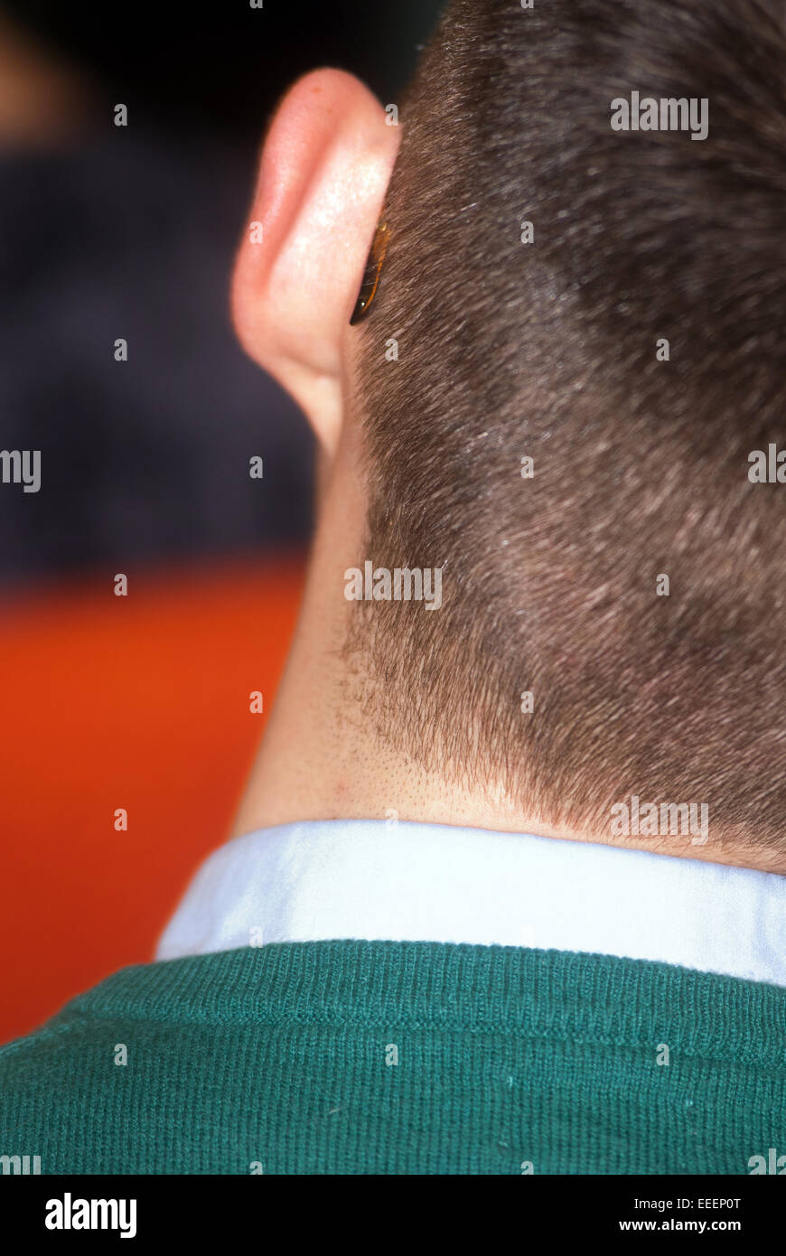 Anatomy rear view back human hi-res stock photography and images - Alamy