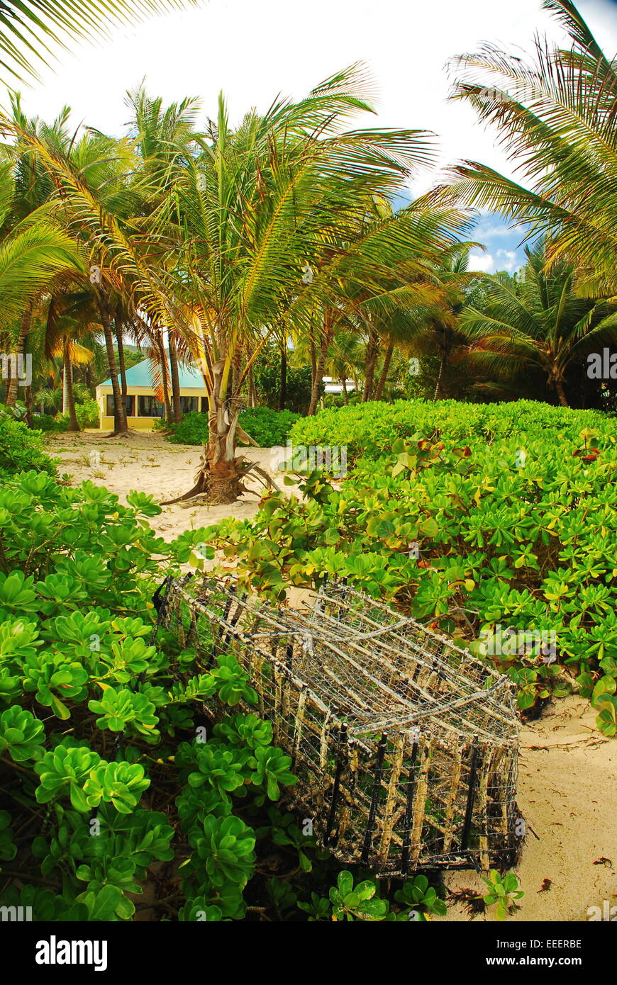 Old wooden lobster trap lies on the beach on island of St Croix, US