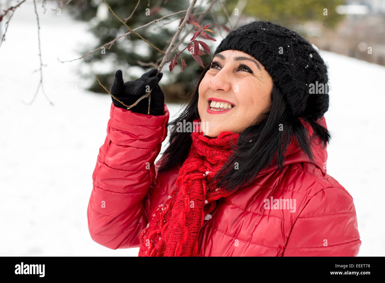 Black haired Turkish women looking at branches on a snowy day Stock Photo