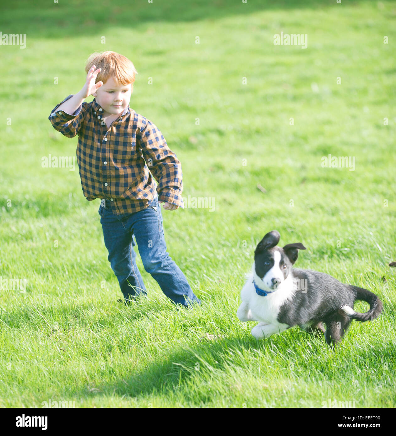 A young boy throwing a stick for a dog Stock Photo