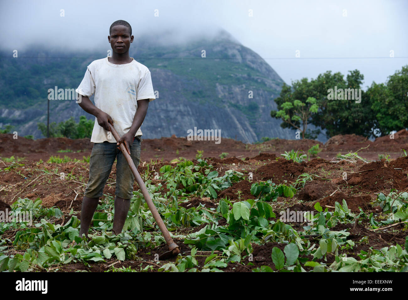 MOZAMBIQUE, Sussundenga, BAGC Beira agricultural growth corridor, small scale farmer work on their farm with hoe to plant maize / MOSAMBIK, Sussundenga, BAGC Beira agricultural growth corridor, Kleinbauern bearbeiten ein Feld fuer den Maisanbau mit Hacke Stock Photo