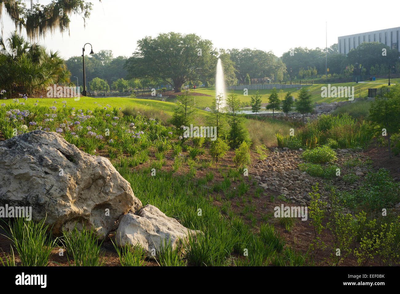 Cascade Park, Tallahassee Stock Photo