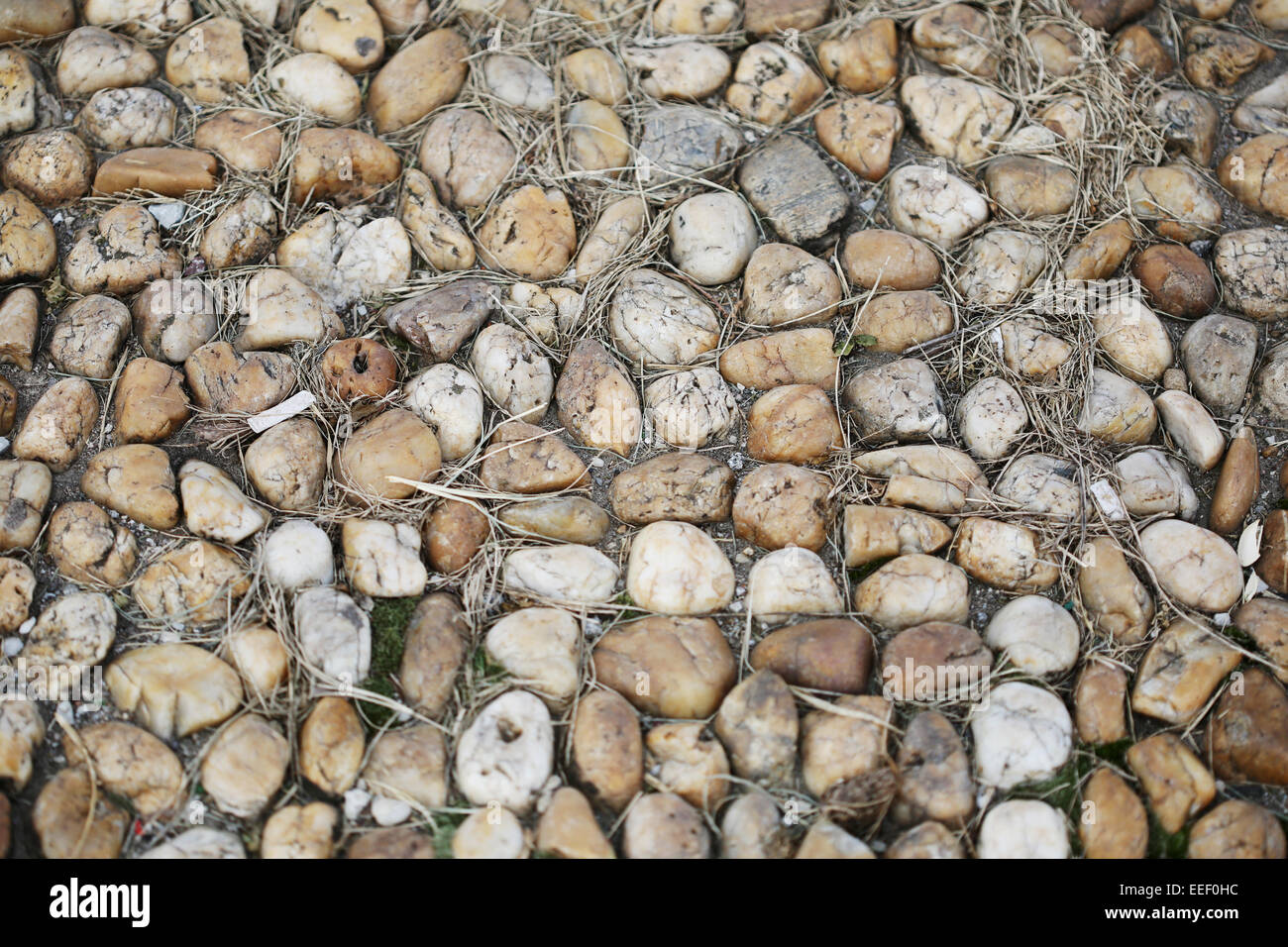 Basement Rocks Pattern wall pattern of gravel stone Stock Photo - Alamy