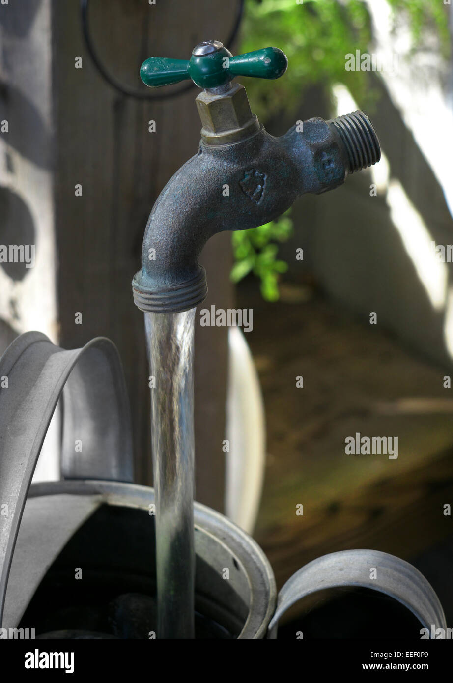 Floating tap garden watering feature hi-res stock photography and ...