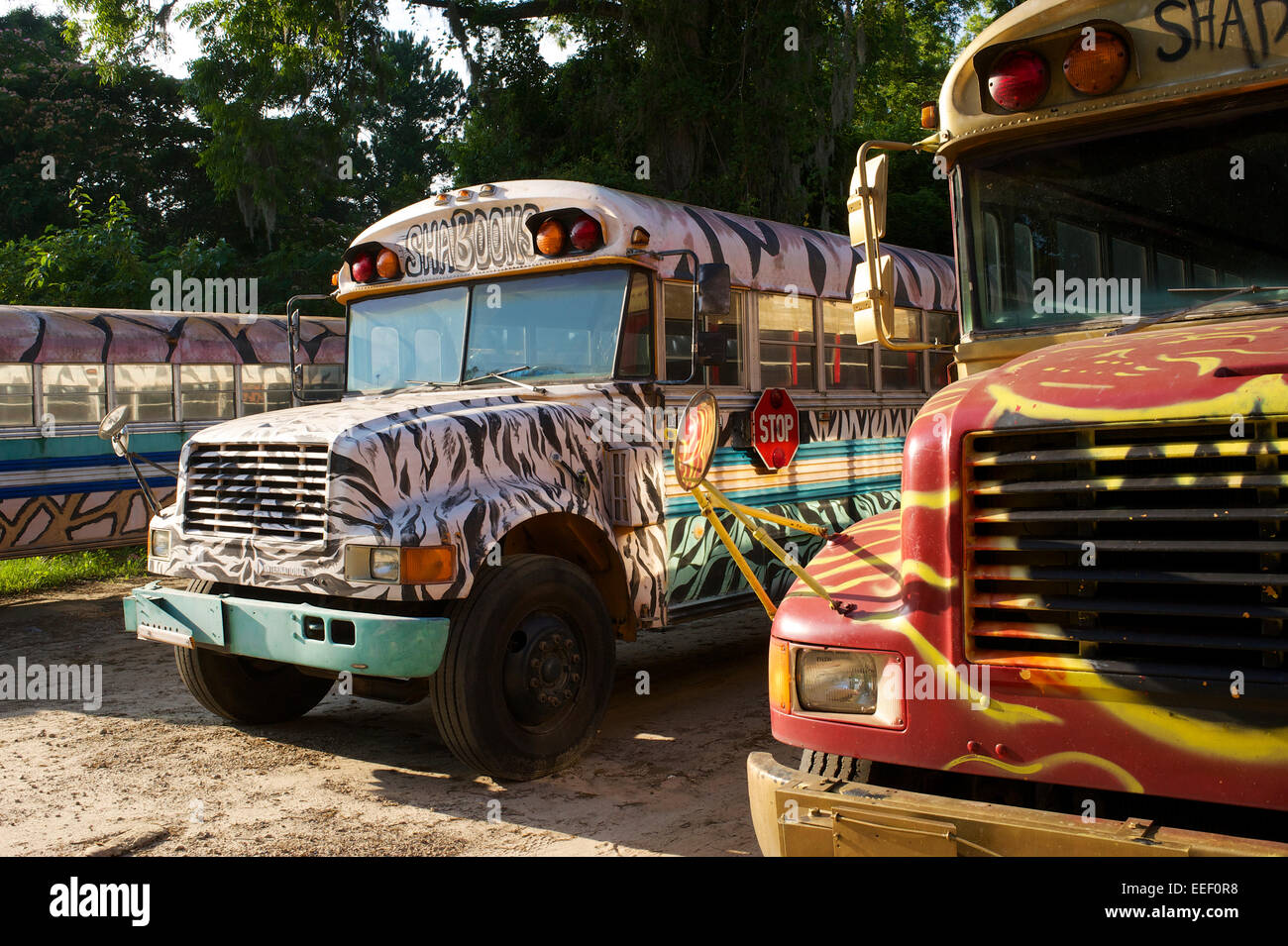 Tallahassee party buses Stock Photo - Alamy