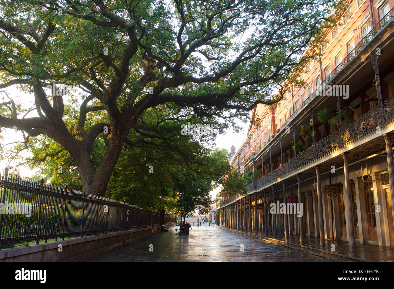 Street scene, New Orleans, Louisiana Stock Photo