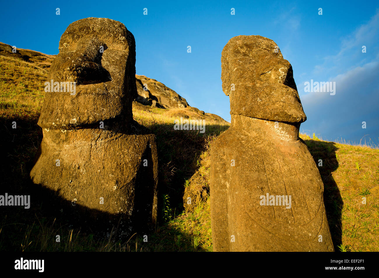 Rano Raraku quarry, Easter Island, Chile, South America. Petroglyph on Moai 263, representing European ship arrival. Stock Photo