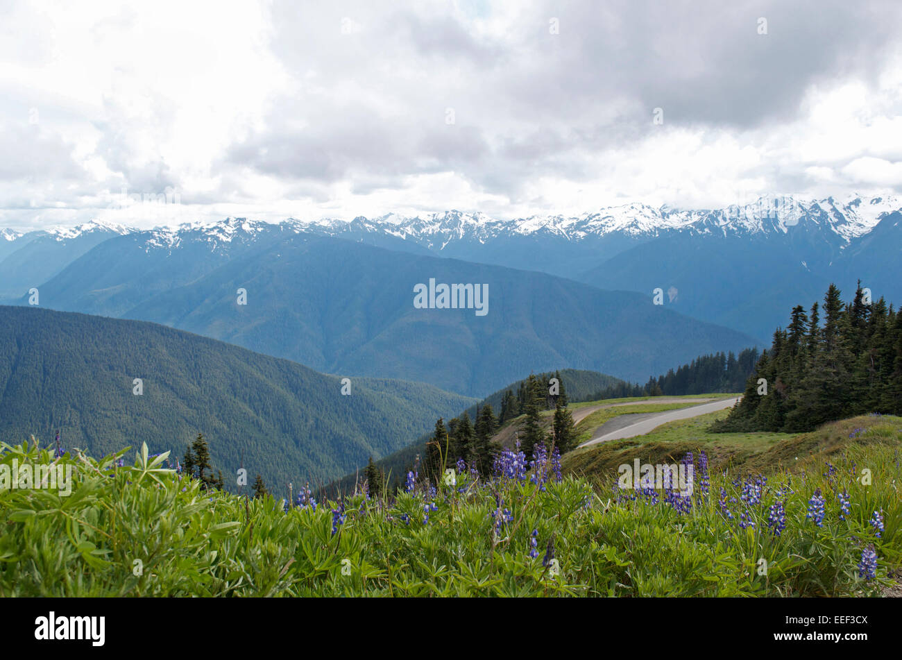 Scenic Mountains Stock Photo