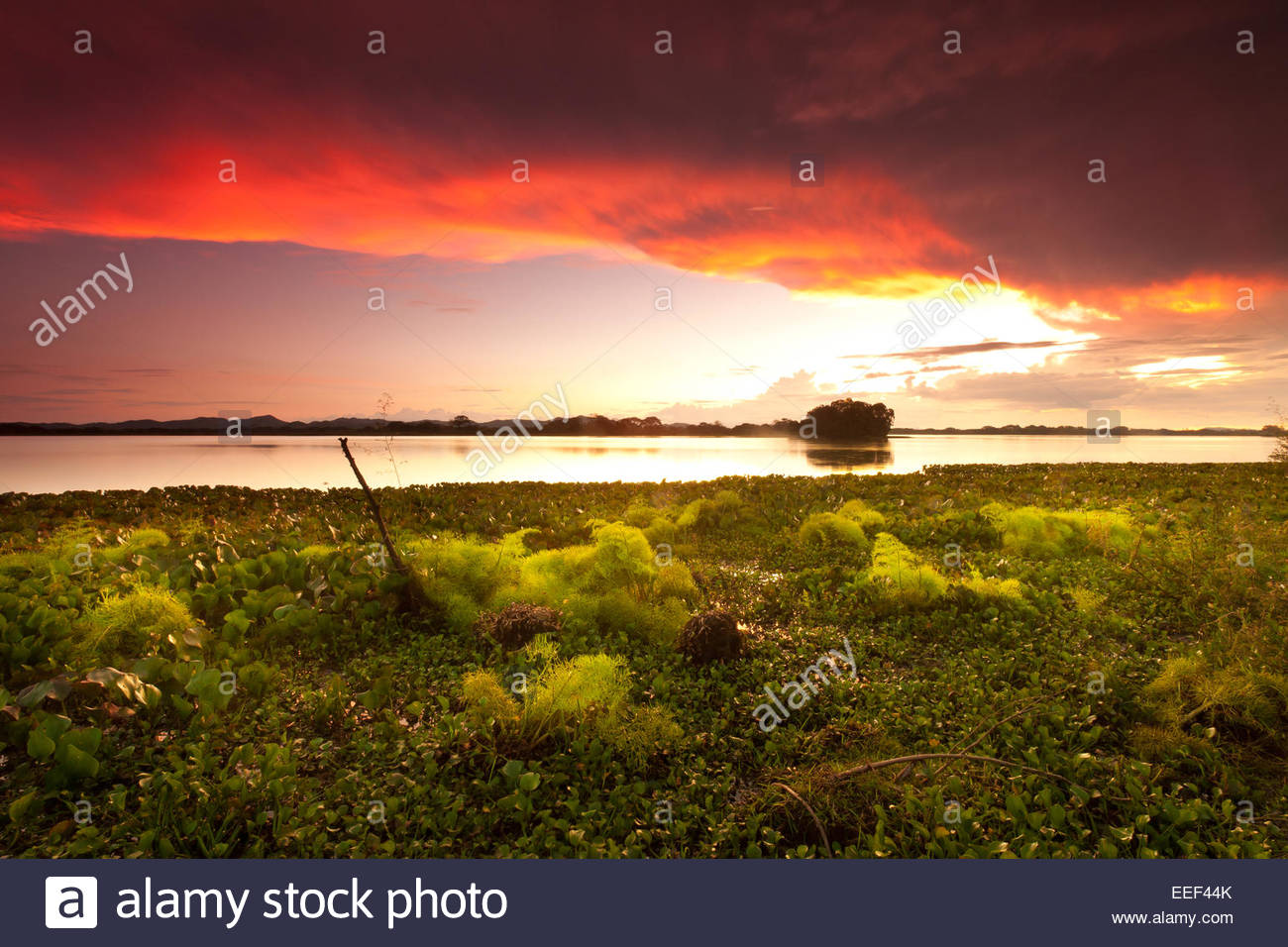 Colorful skies at sunset at the lakeside of Refugio de vida Silvestre Cienage las Macanas nature reserve, Republic of Panama. Stock Photo