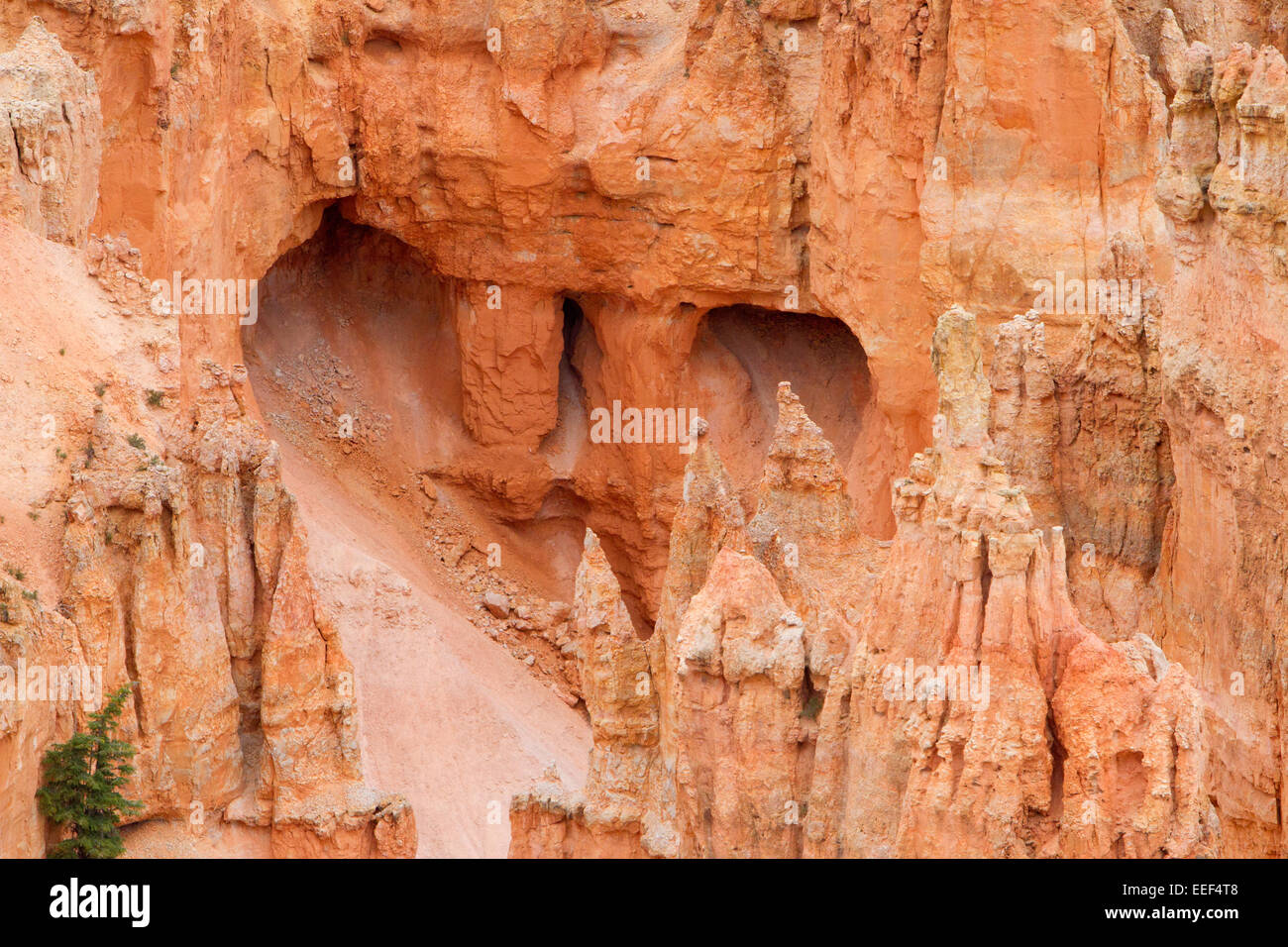 View of hoodoos & other limestone rock formations from Rainbow Point