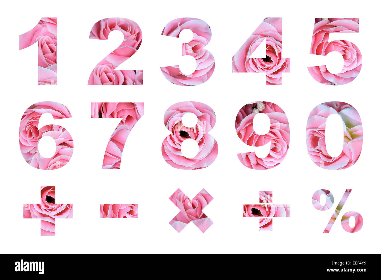 one to zero numbers and basic mathematical symbols made from  rose flower picture Stock Photo