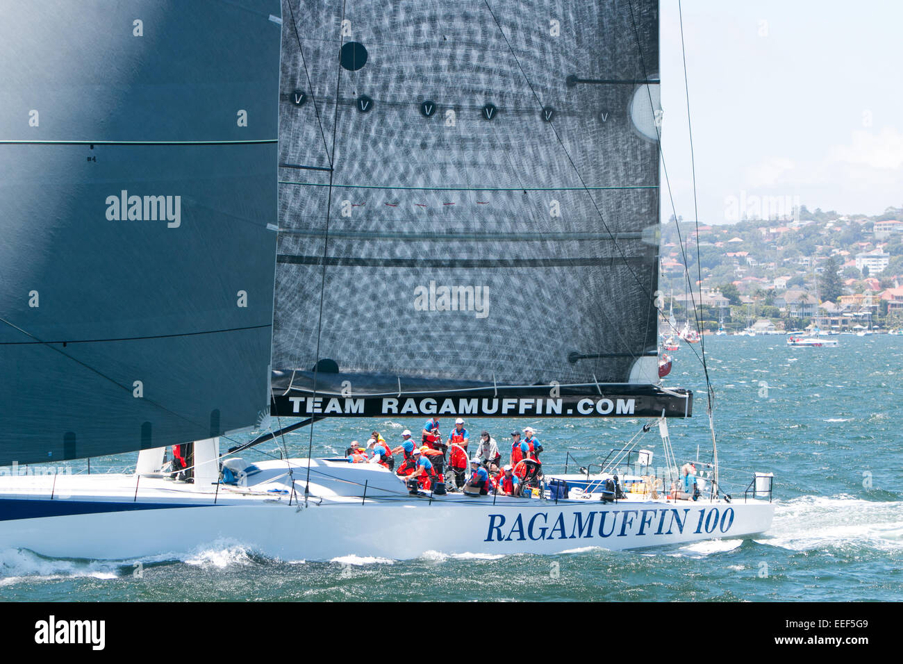 ragamuffin 100  at the start of the 2014 rolex sydney to hobart yacht race on boxing day 2014,sydney harbor,australia Stock Photo