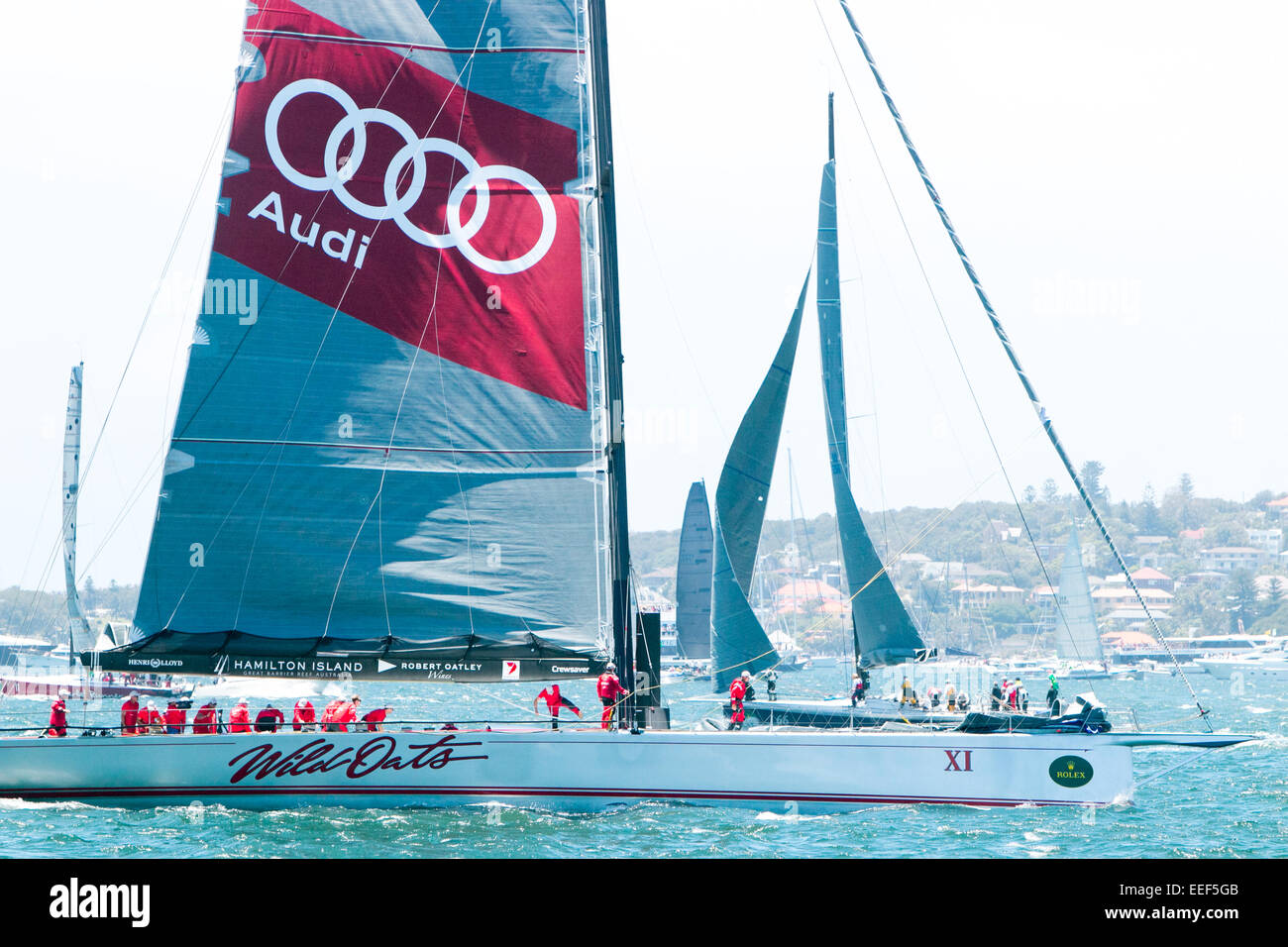 wild oats x1 at the start of the 2014 rolex sydney to hobart yacht race on boxing day 2014,sydney harbor,australia Stock Photo