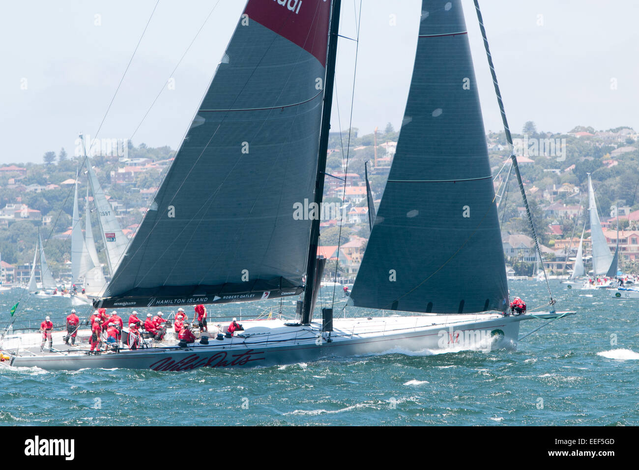 wild oats x1  at the start of the 2014 rolex sydney to hobart yacht race on boxing day 2014,sydney harbor,australia Stock Photo