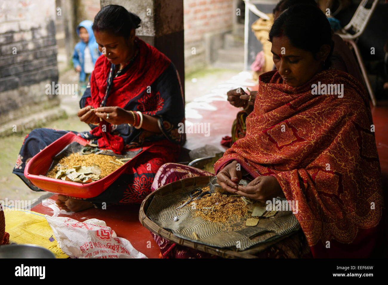 (150117) CALCUTTA, Jan. 17, 2015 (Xinhua) Villagers roll