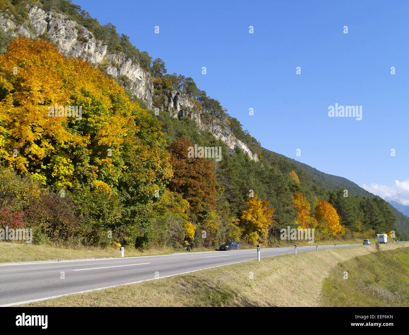 Baum, Baeume, Herbst, Herbstlaub, Blaetter, Farbe, Gelb, Gruen, Jahreszeiten, Natur, Landschaft, Stimmung, Berge, Oesterreich, T Stock Photo